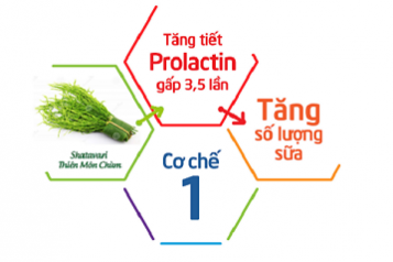 Tuyệt chiêu tăng Số lượng và Chất lượng sữa mẹ