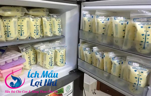 Cùng tìm hiểu về cách bảo quản túi trữ sữa trong tủ lạnh