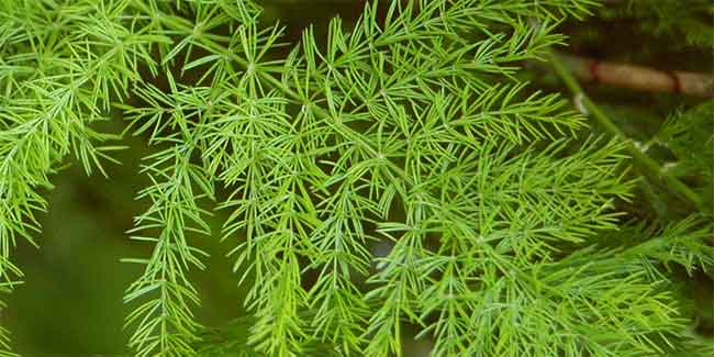 cách phòng ngừa mất sữa ít sữa