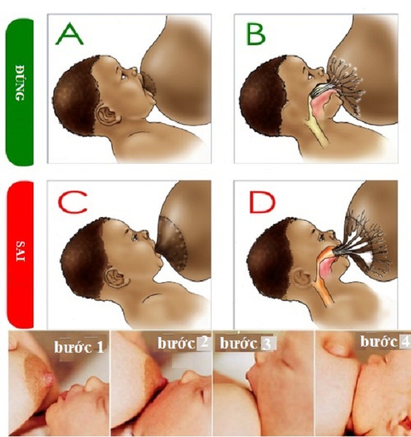 cho-con-bu-dung-cach-phong-mat-sua-it-sua