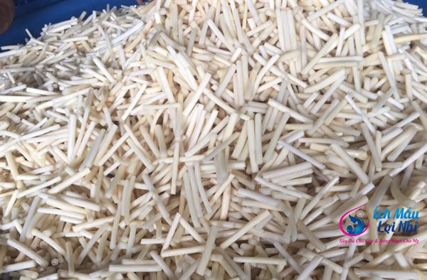 Ngó sen giúp “cải thiện” sữa mẹ về chất và lượng!