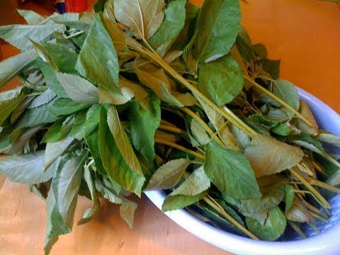 phu-nu-sau-sinh-nen-an-rau-day