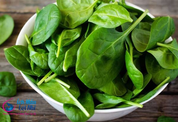 Rau Bina – nâng cao chất lượng sữa mẹ