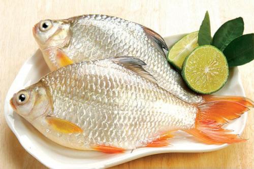 thức ăn lợi sữa