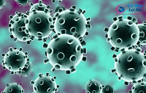 Virus Corona gây bệnh Viêm phổi lạ